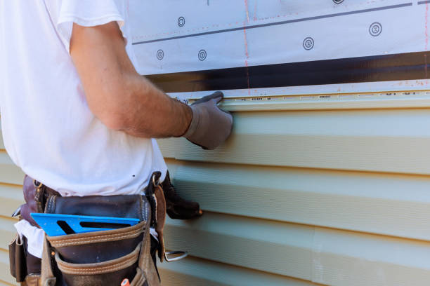 Affordable Siding Replacement solutions in Annandale, MN