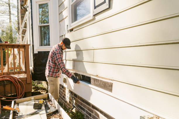 Top rated local Siding Replacement specialists in Annandale, MN